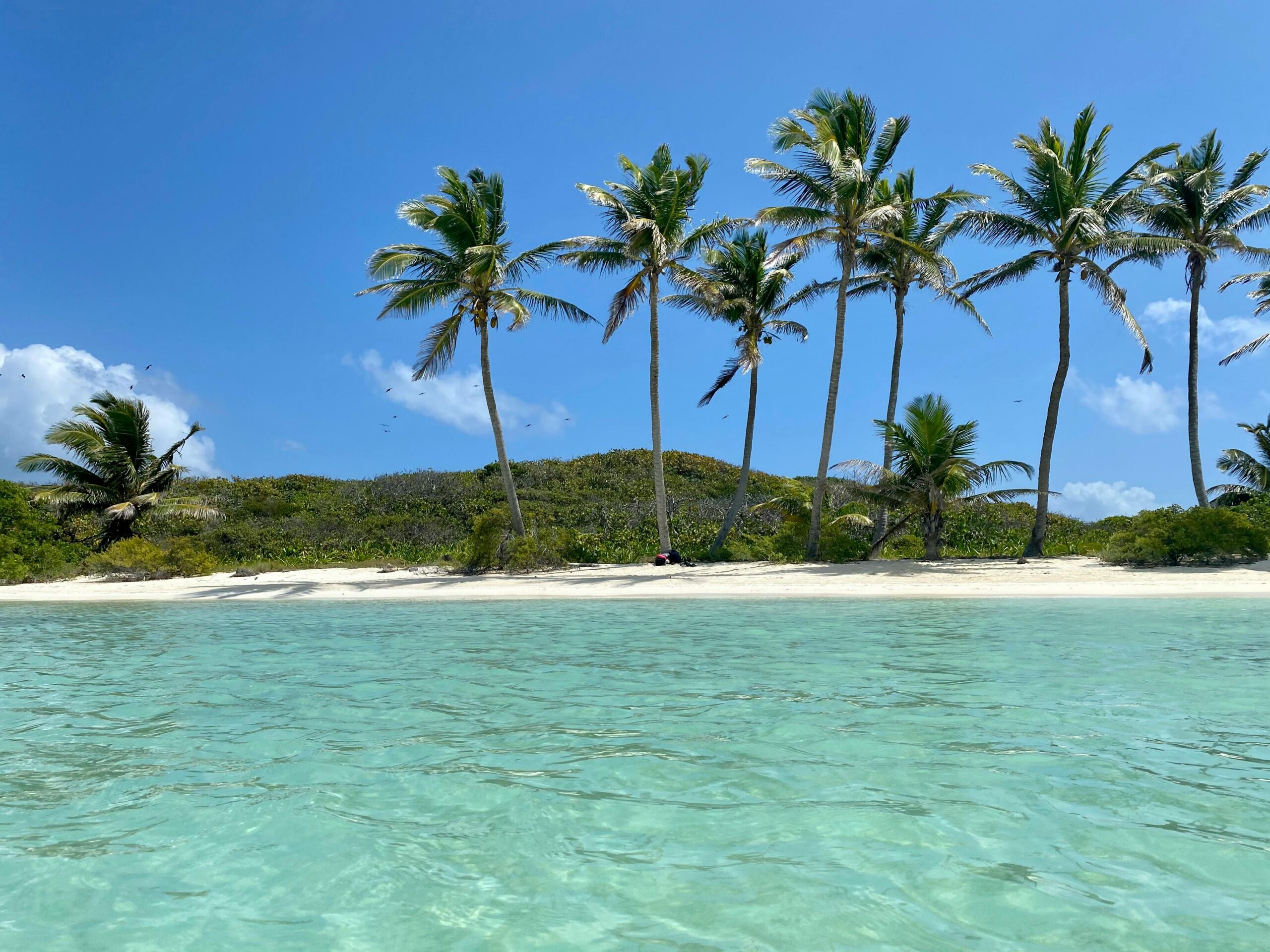 https://static.adhubmedia.com/notizie_it/wp-content/uploads/2026/06/costa-caraibi-2-scaled.jpg