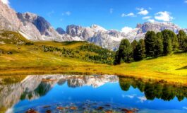 friedrichit notizie 265x160