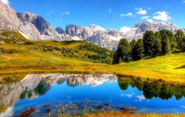 friedrichit notizie 364x230