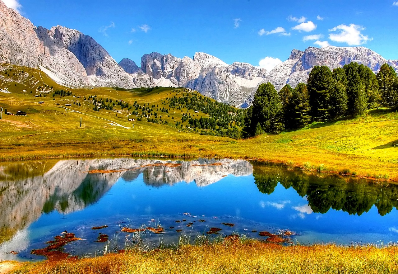 https://static.adhubmedia.com/notizie_it/wp-content/uploads/2026/06/friedrichit-notizie.jpg