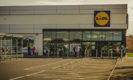 lidl assume personale