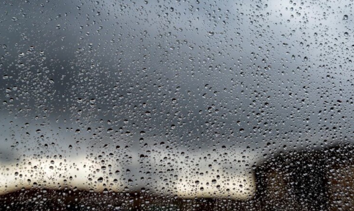 https://static.adhubmedia.com/notizie_it/wp-content/uploads/2026/06/maltempo-a-roma-tromba-daria-causa-danni-raffiche-di-vento-e-alberi-caduti-d885cc7d.jpg