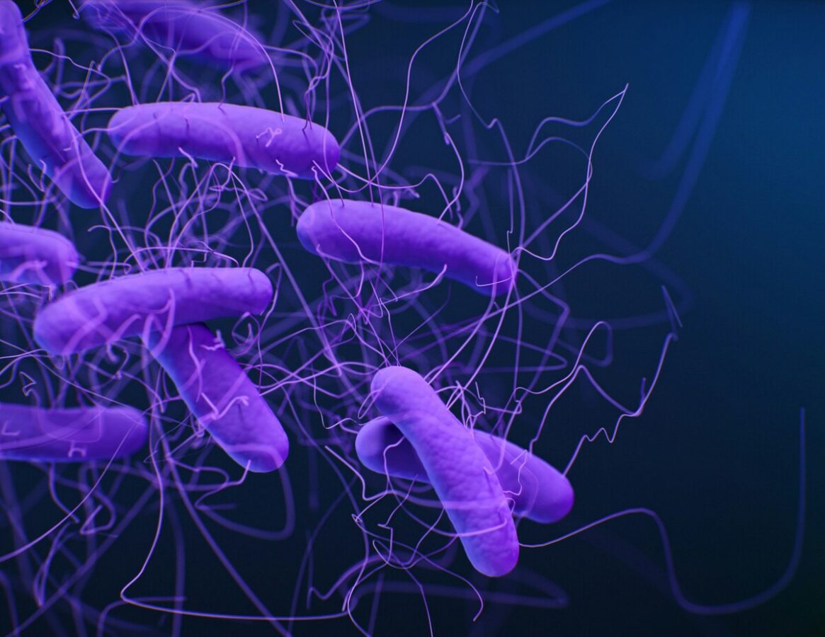 Legionella, cresce l'allarme in Italia: ecco come riconoscere i sintomi