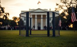 UFC alla Casa Bianca: combattimenti sull'erbetta del South Lawn e le implicazioni politiche