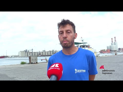 Ambiente, CESTHA: tre tartarughe marine tornano in libertà alla Festa della Cozza Selvaggia