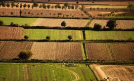 Banca nazionale delle Terre Agricole Bta al via nona edizione in vendita 8.863 ettari per un valore di oltre 121 milioni di euro 265x160