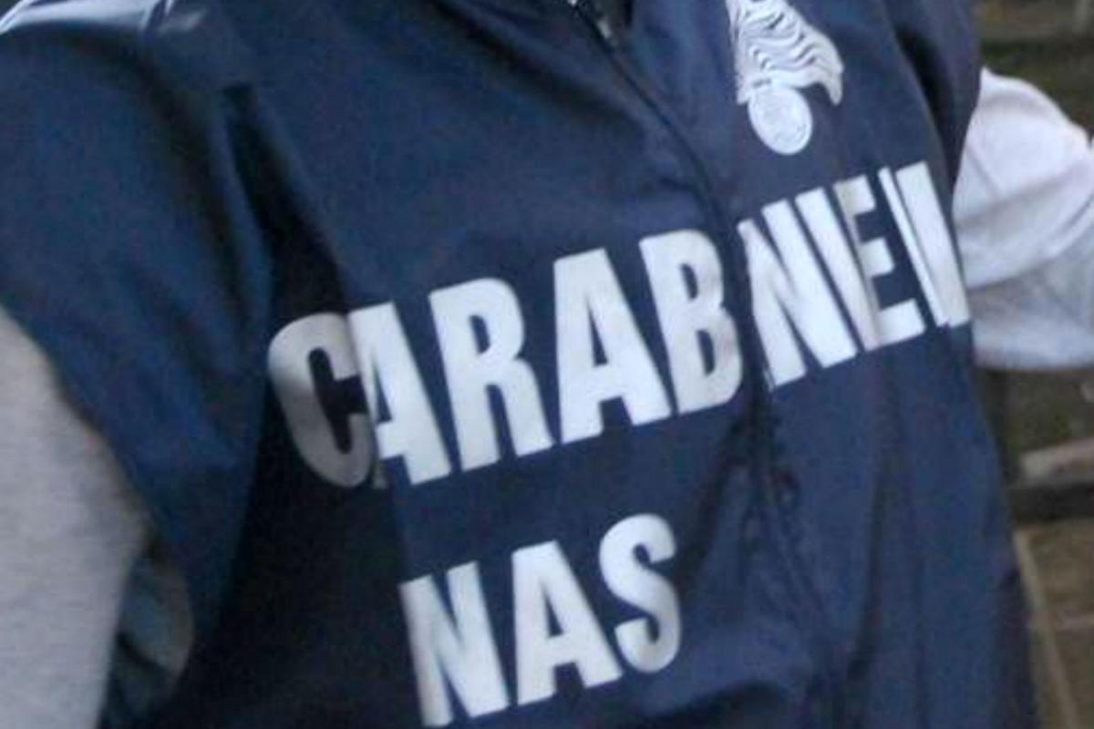 Brescia, neonato circonciso su tavolo da cucina in casa: denunciato cardiologo