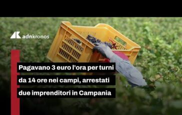Caserta schiavitu nei campi 3 euro lora per turni da 14 ore 364x230