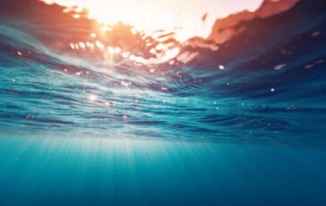 June Weather: Record-Breaking Global Sea Temperatures 364x230