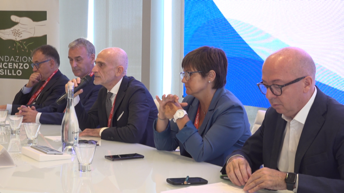 Dito (Inps): "Apprendistato duale può aiutare Neet a entrare in mondo lavoro"