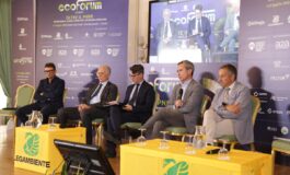 Energia indagine per 44 governo deve incentivare rinnovabili 265x160