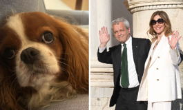Fagnani e Mentana addio alla cagnolina Bice Il dolore e profondo 265x160