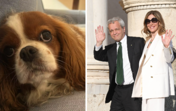 Fagnani e Mentana addio alla cagnolina Bice Il dolore e profondo 364x230