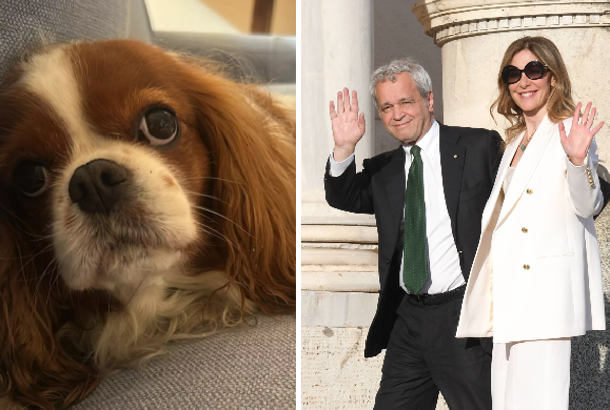 Fagnani e Mentana, addio alla cagnolina Bice: "Il dolore è profondo"