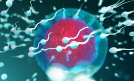 Fertilita dove vive lui conta regione di residenza e smog incidono su qualita sperma 265x160