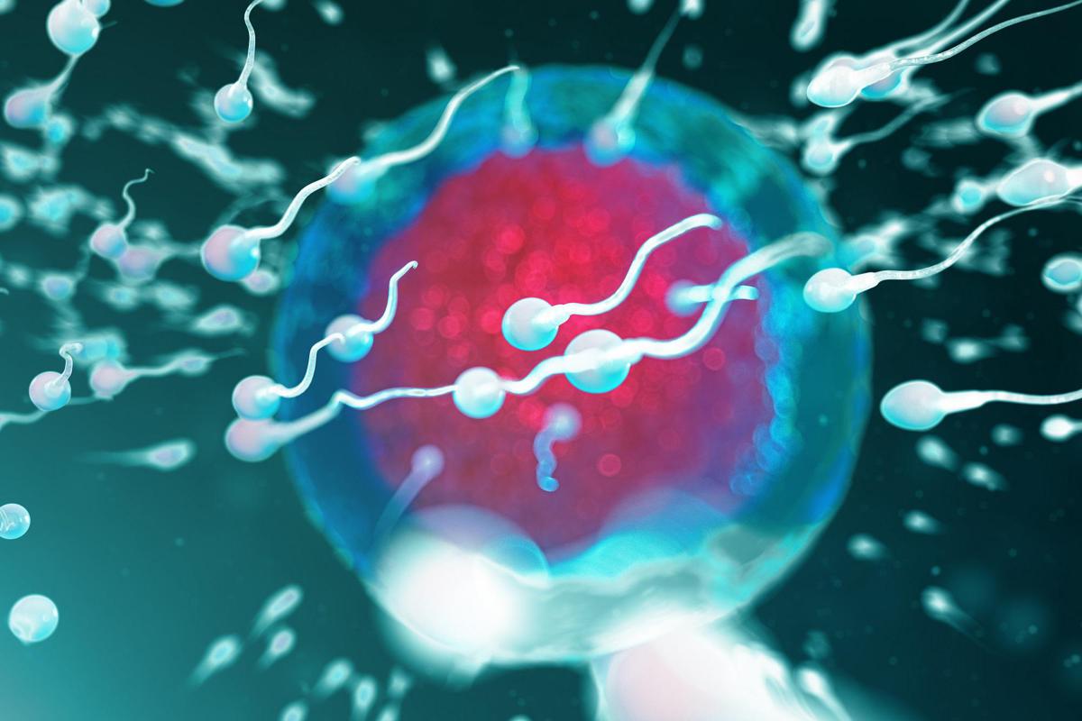 Fertilità, dove vive lui conta: regione di residenza e smog incidono su qualità sperma