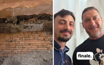 Francesco Totti la casa invasa da vespe germaniche il racconto del salvataggio 364x230