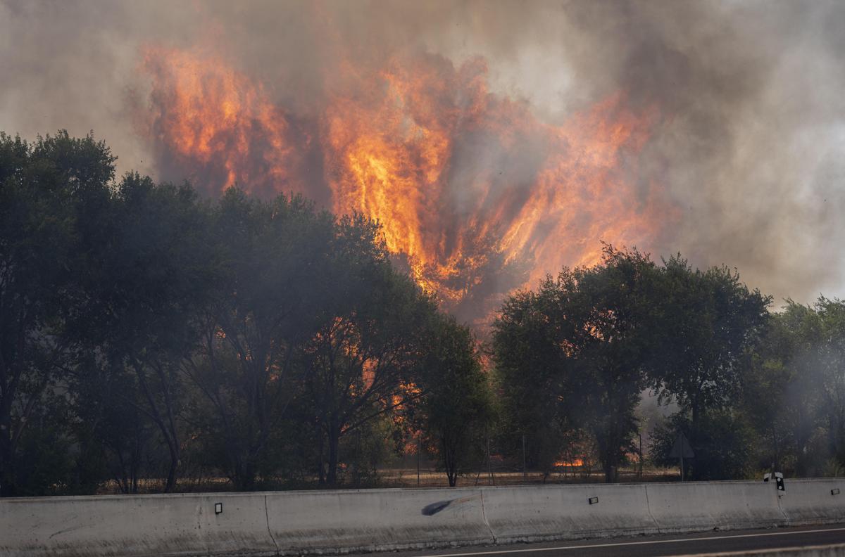 Francia e Spagna in ginocchio per gli incendi, Macron schiera l'esercito