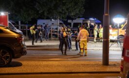 Germania Valensise Immigrazione centrale in campagna elettorale Afd sfruttera paura 265x160
