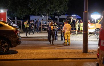 Germania Valensise Immigrazione centrale in campagna elettorale Afd sfruttera paura 364x230