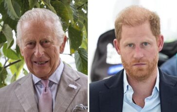 Gran Bretagna sudditi felici per incontro fra Re Carlo e Harry popolarita in crescita 364x230