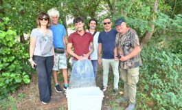 Gruppo Cap 2.500 alborelle cresciute nel depuratore di Canegrate tornano nei fiumi lombardi 265x160