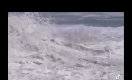 Il giovane baywatch salva un ragazzo tra le onde del Pacifico Video 265x160