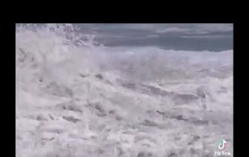 Il giovane baywatch salva un ragazzo tra le onde del Pacifico Video 364x230