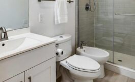 Il mistero del bidet le domande surreali degli americani al Washington Post 265x160