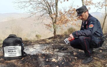 Incendi Carabinieri Forestali 98 causati dalluomo in primi 6 mesi 3800 ettari bruciati 364x230