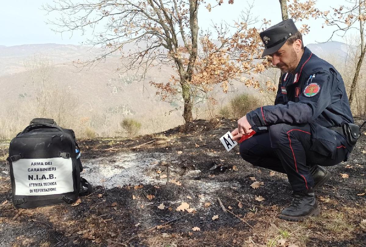 Incendi, Carabinieri Forestali: "98% causati dall'uomo, in primi 6 mesi 3800 ettari bruciati"
