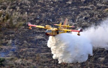 incendi italia in sette mesi piu di 1070 grandi roghi boschivi 2
