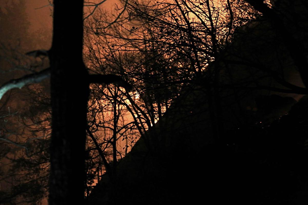 Incendi, Vigili del fuoco al lavoro dal Piemonte al Sud: "Bruciati +15% ettari rispetto a scorso anno"
