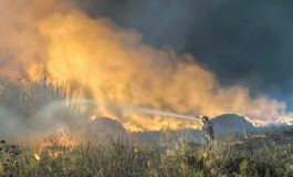 Infermo di fuoco a Maracalagonis incendio domato il post della sindaca 265x160