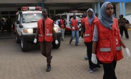 Kenya turista italiana muore in un incidente stradale 265x160