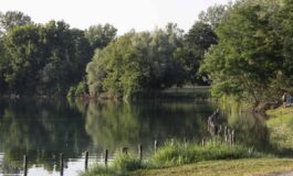 Milano violentata mentre fa jogging al parco si salva mordendo laggressore arrestato 26enne 265x160
