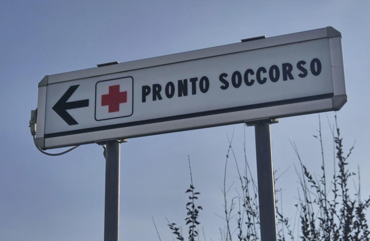 Morso di zecca e rischio encefalite, Bassetti: "Grave infezione virale, massima attenzione"