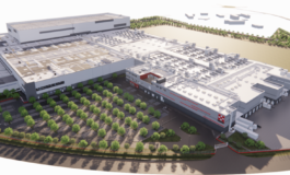 Nestle investimento di 560 mln a Mantova per nuovo stabilimento Purina dedicato al petfood e polo logistico 265x160