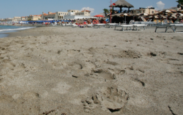 Ostia si tuffa dal pontile e sbatte la testa morto un ragazzo 364x230