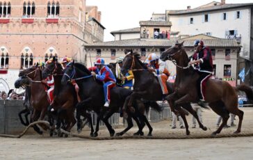 Palio di Siena oggi la corsa dopo il rinvio tutte le tappe della giornata dalla pista alla conchiglia 364x230