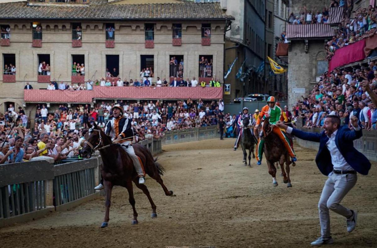 Palio di Siena oggi, orario e dove vederlo (in diretta): contrade, cavalli e fantini