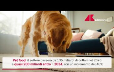 Pet food previsto boom nel 2034 crescita 48 e 200 miliardi Video 364x230