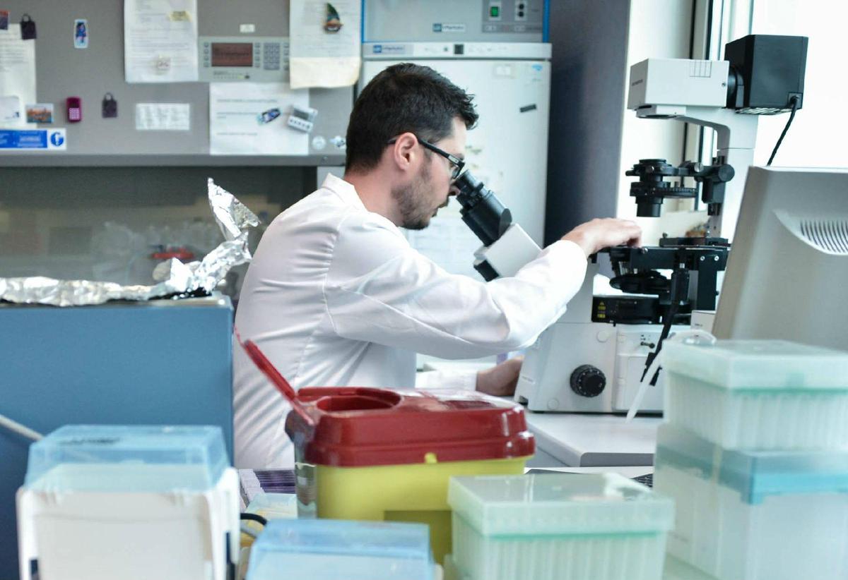 Ricerca, stretta Usa su studi ad alto rischio, stop fondi a test su virus potenziati