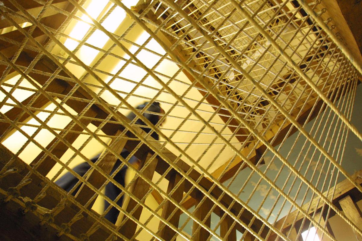 Rivolta nel carcere di Enna, oltre 100 detenuti occupano parte del vecchio padiglione
