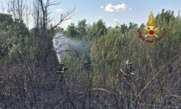 Roma da via Pineta Sacchetti a Cinecitta diversi incendi nella Capitale e dintorni 265x160