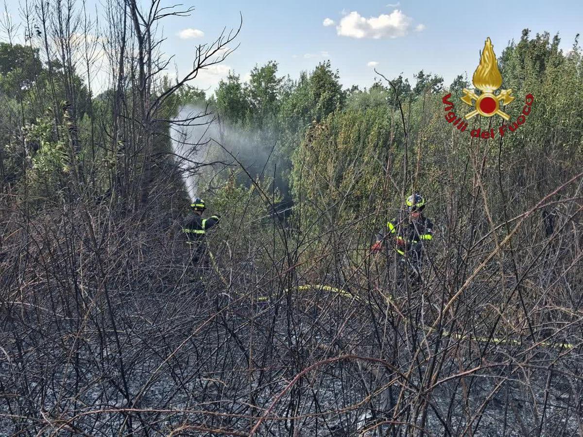 Roma, da via Pineta Sacchetti a Cinecittà: diversi incendi nella Capitale e dintorni
