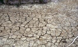 Siccita allarme Anbi verso emergenza idrica al Nord fiumi dimezzati﻿ 265x160
