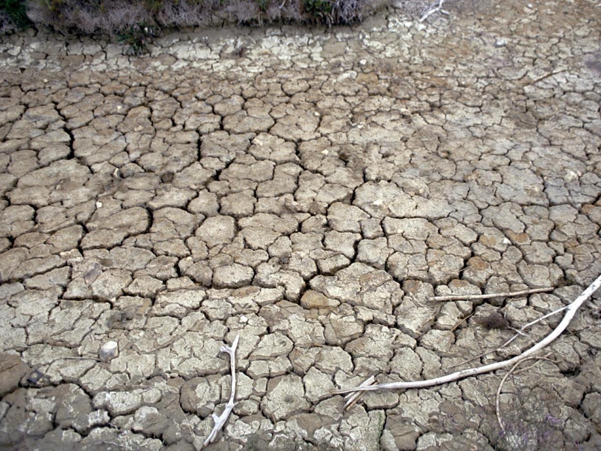 Siccità, allarme Anbi: verso emergenza idrica al Nord, fiumi dimezzati﻿