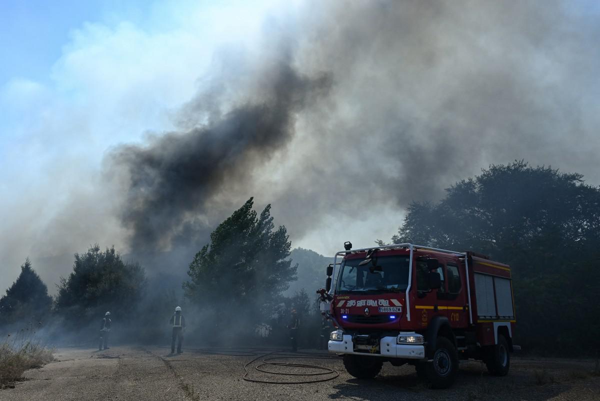 Spagna, 12 morti a causa di un incendio in Andalusia: alcune vittime trovate nelle auto