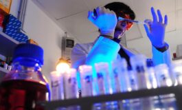 Storia genetica di un superbatterio killer cosi lAcinetobacter baumannii e diventato invulnerabile 265x160